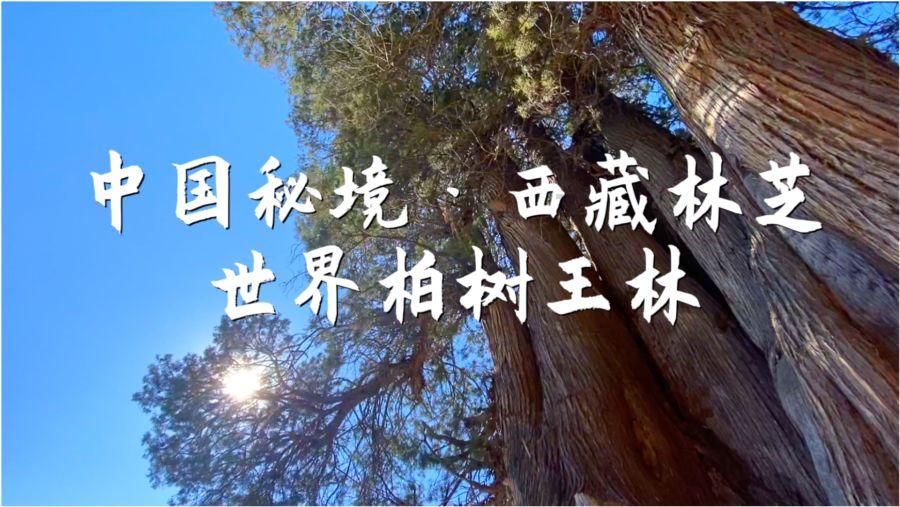 紫光国微(002049.SZ):5G通信石英晶体振荡器产业化项目已基本完成建设,开始投产