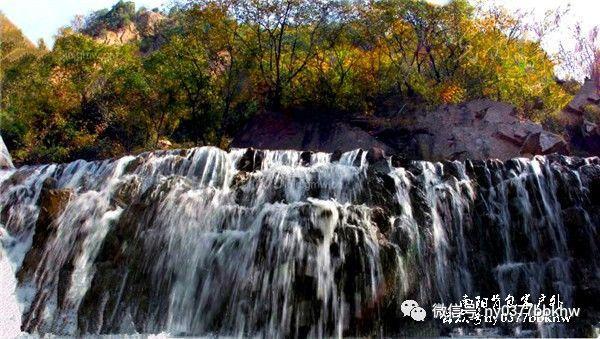 济南槐荫:创新打造医疗学术会展品牌
